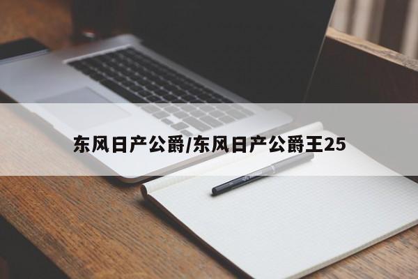 东风日产公爵/东风日产公爵王25
