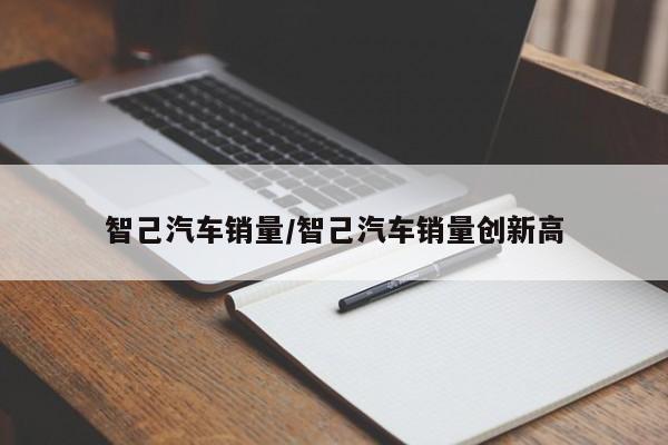 智己汽车销量/智己汽车销量创新高