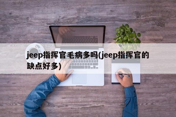 jeep指挥官毛病多吗(jeep指挥官的缺点好多)