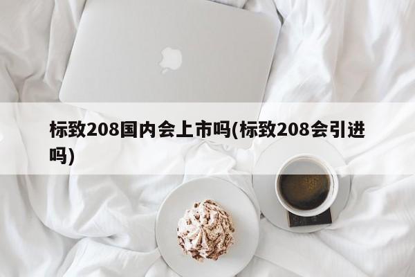 标致208国内会上市吗(标致208会引进吗)