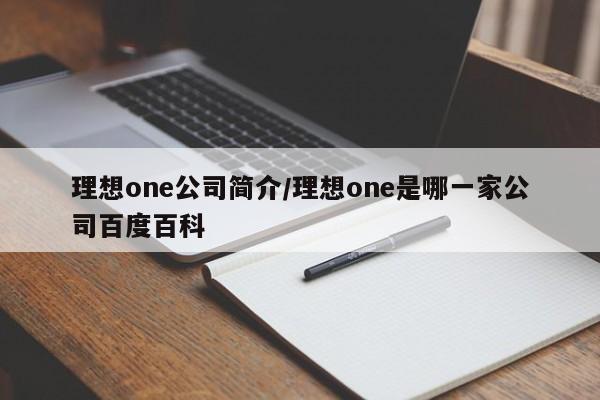 理想one公司简介/理想one是哪一家公司百度百科
